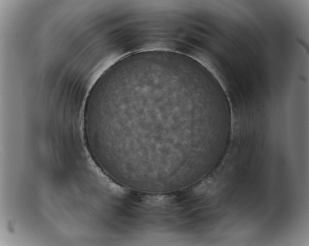 X0000103900949200809191235