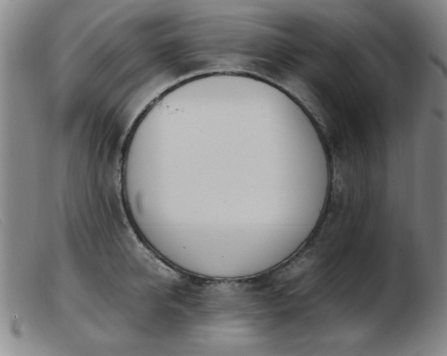 X0000103900950200809191235