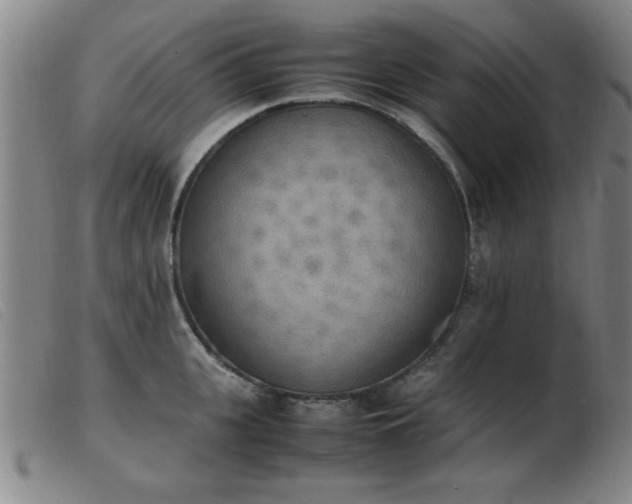 X0000103900951200809191235
