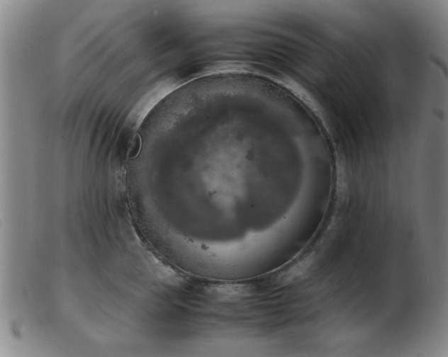 X0000103900953200809191235