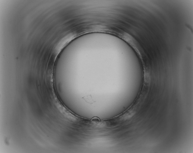 X0000103900954200809191235