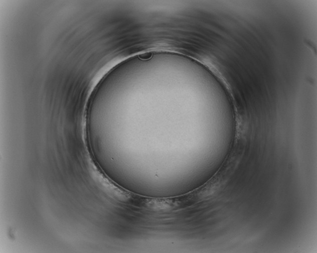 X0000103900955200809191235