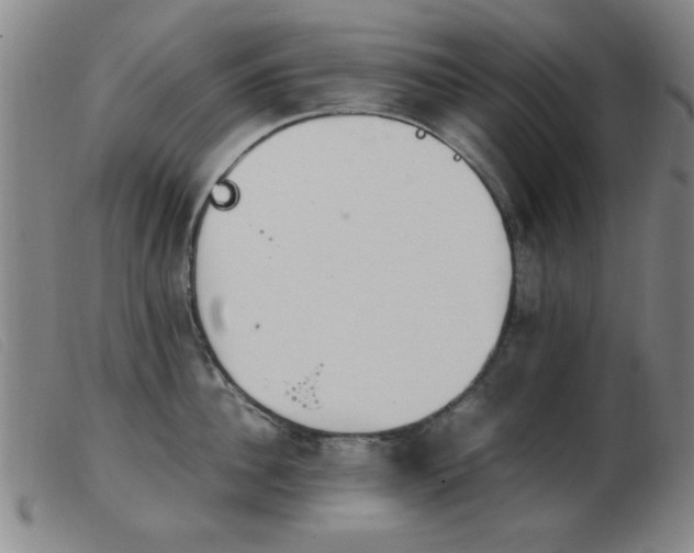 X0000103900956200809191235