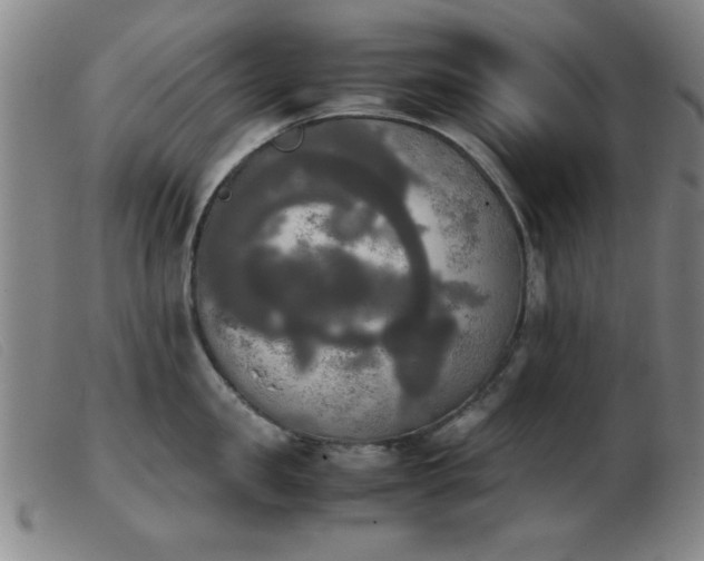X0000103900957200809191235