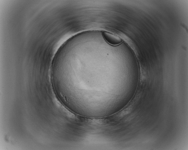 X0000103900958200809191235