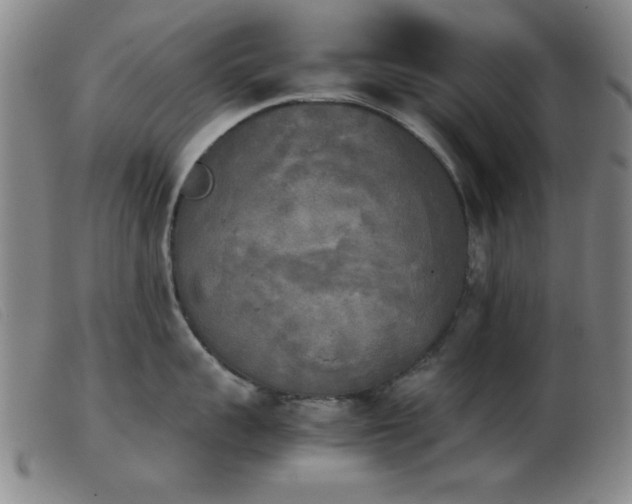 X0000103900959200809191235