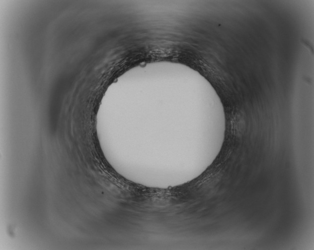 X0000103900961200809191234