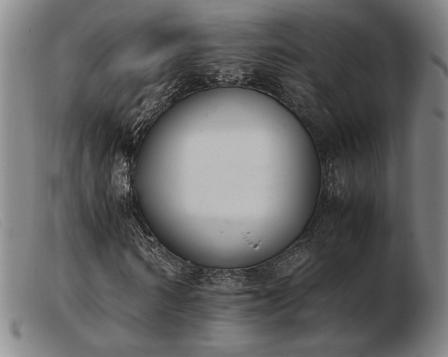 X0000103900962200809191234
