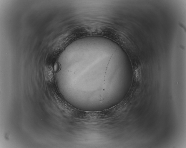 X0000103900963200809191234