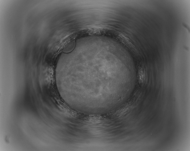 X0000103900964200809191234