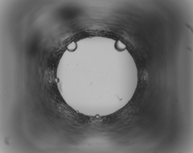 X0000103900965200809191234