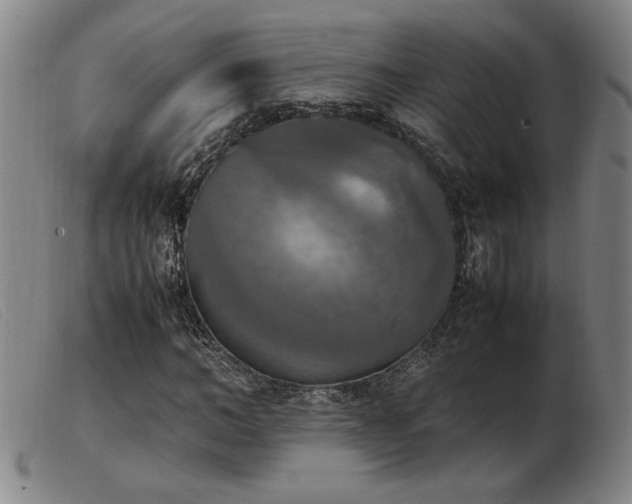 X0000103900966200809191234