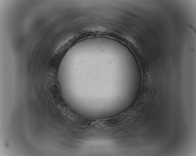 X0000103900967200809191234