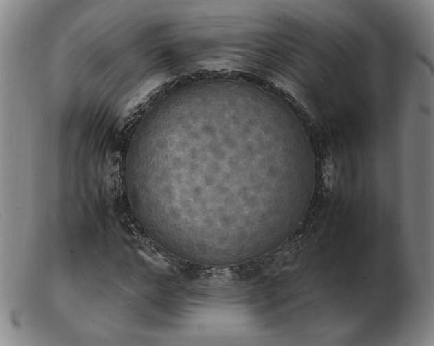 X0000103900968200809191234