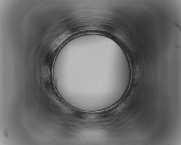 X0000103900969200809191234