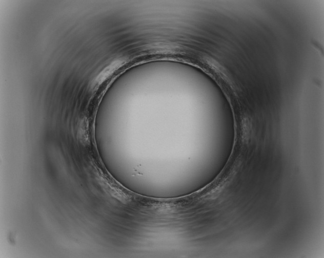 X0000103900970200809191234