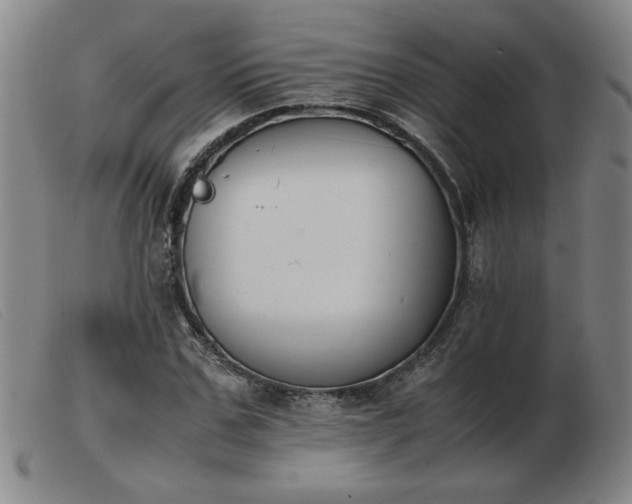 X0000103900971200809191234