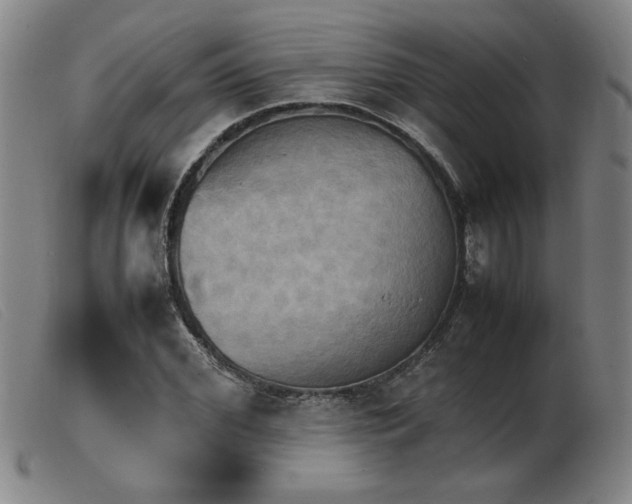 X0000103900972200809191234