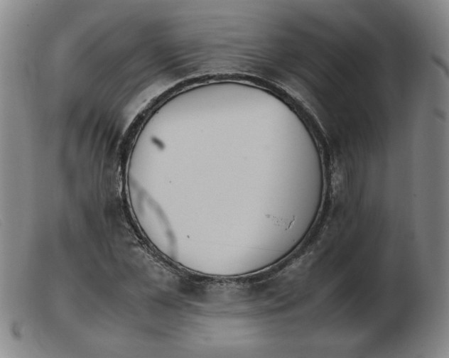 X0000103900973200809191234