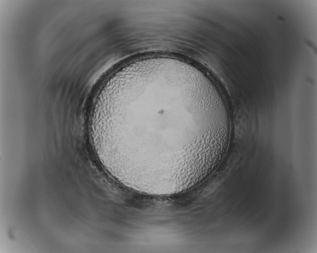X0000103900975200809191234