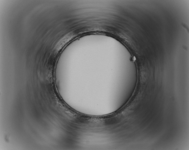 X0000103900977200809191234