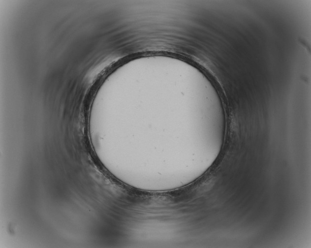 X0000103900979200809191234