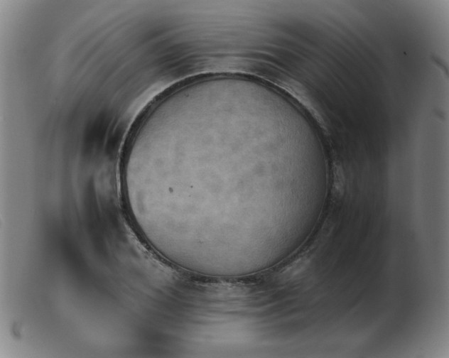 X0000103900980200809191234