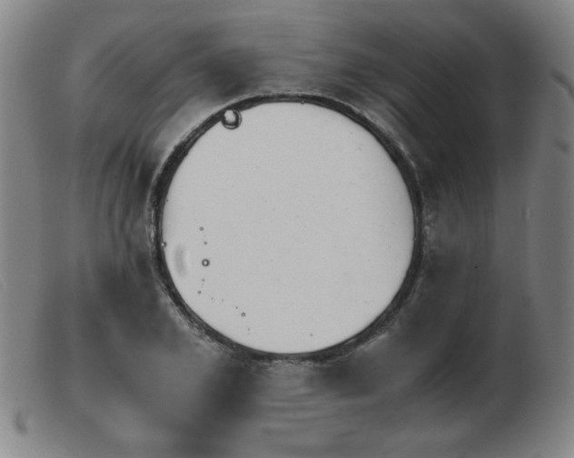X0000103900981200809191234