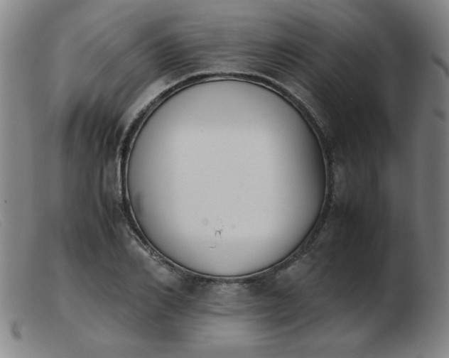 X0000103900982200809191234