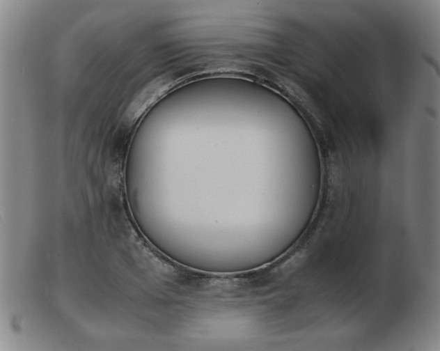X0000103900985200809191234