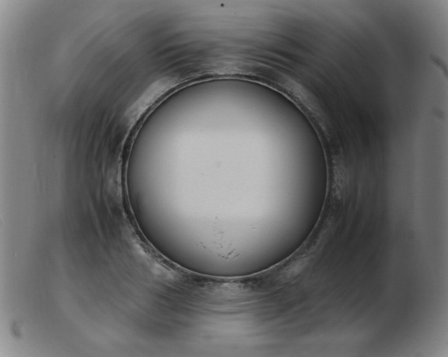 X0000103900986200809191234