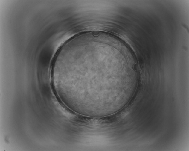 X0000103900987200809191234