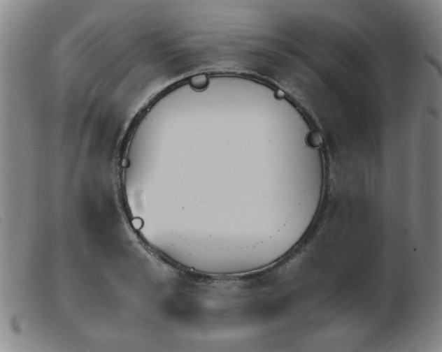 X0000103900989200809191234