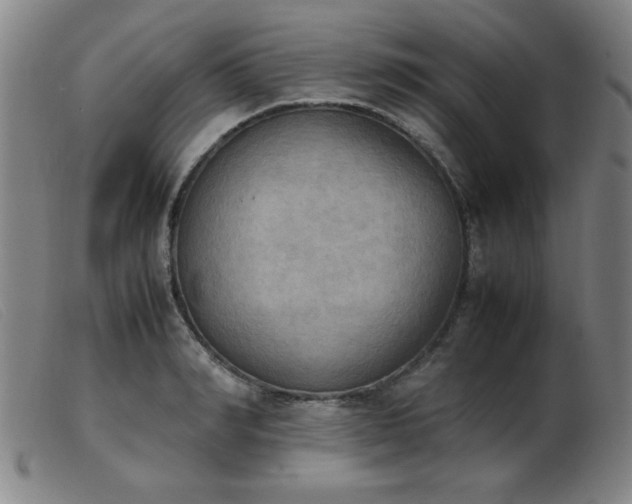 X0000103900990200809191234