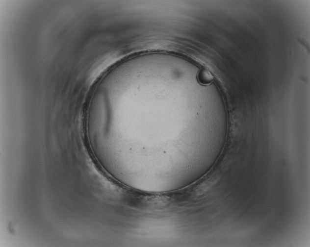 X0000103900991200809191234
