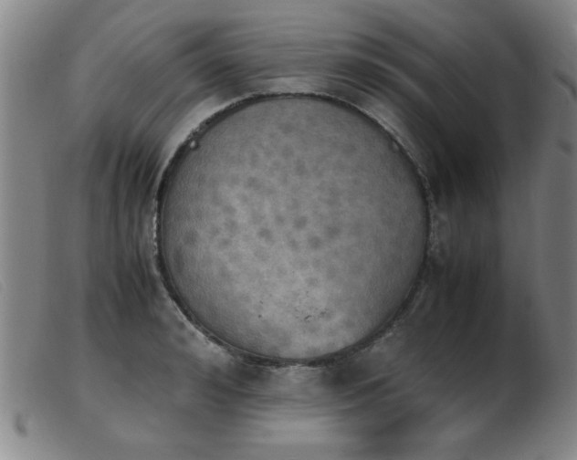 X0000103900992200809191234