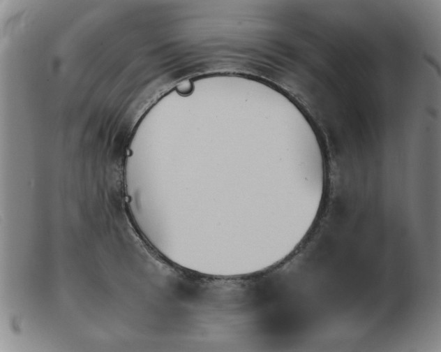 X0000103900993200809191234