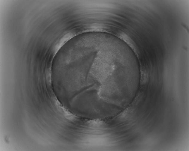 X0000103900994200809191234
