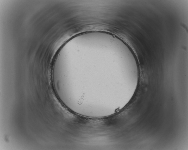 X0000103900997200809191234