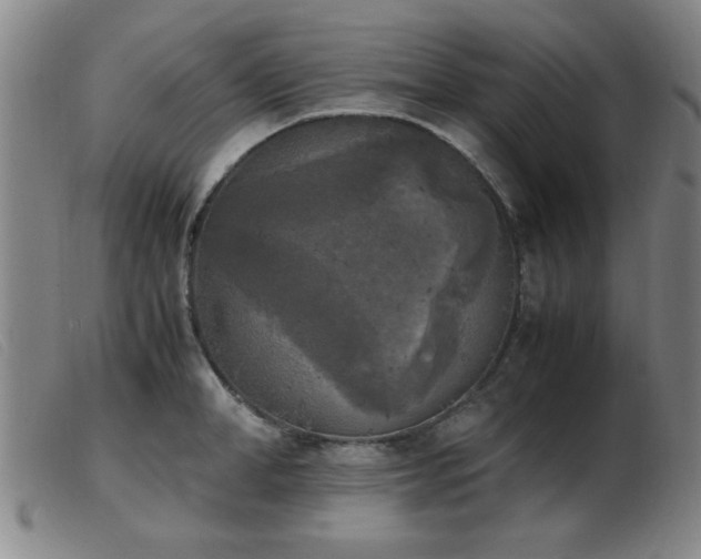 X0000103900998200809191234