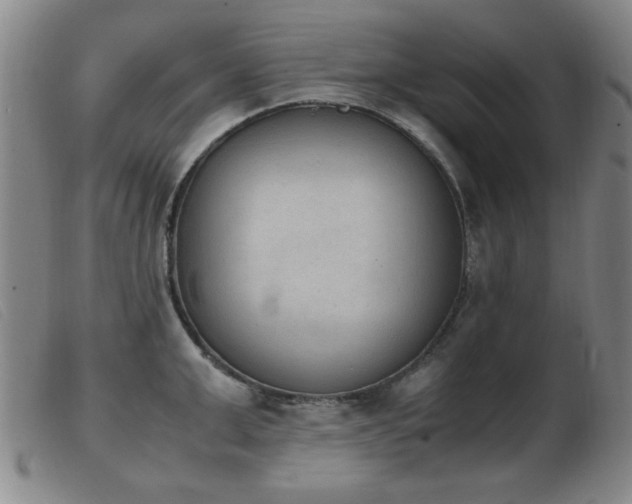 X0000103900999200809191234