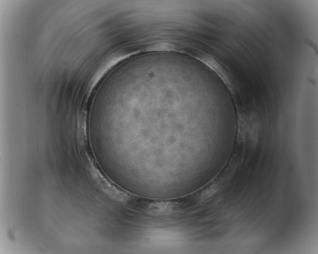X0000103901000200809191234