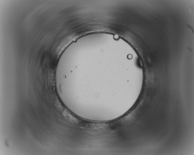 X0000103901001200809191234