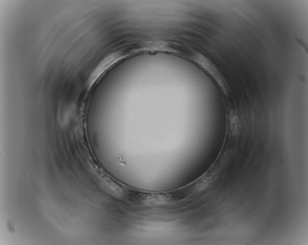 X0000103901002200809191234