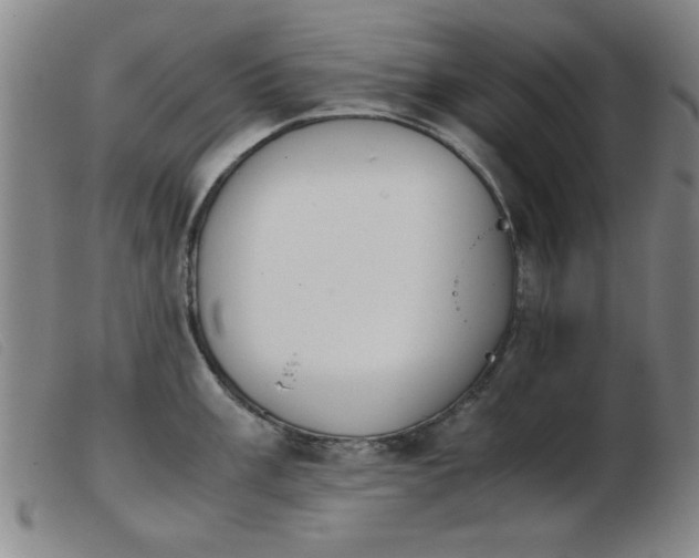 X0000103901003200809191234