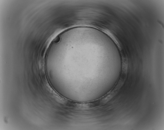 X0000103901004200809191234
