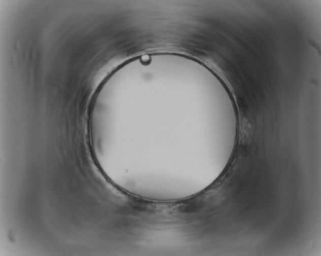 X0000103901005200809191234