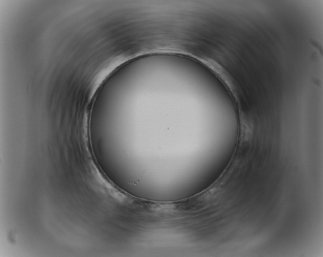 X0000103901006200809191234