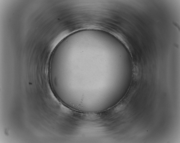 X0000103901007200809191234