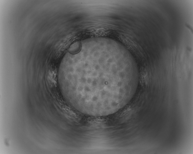 X0000103901010200809191233